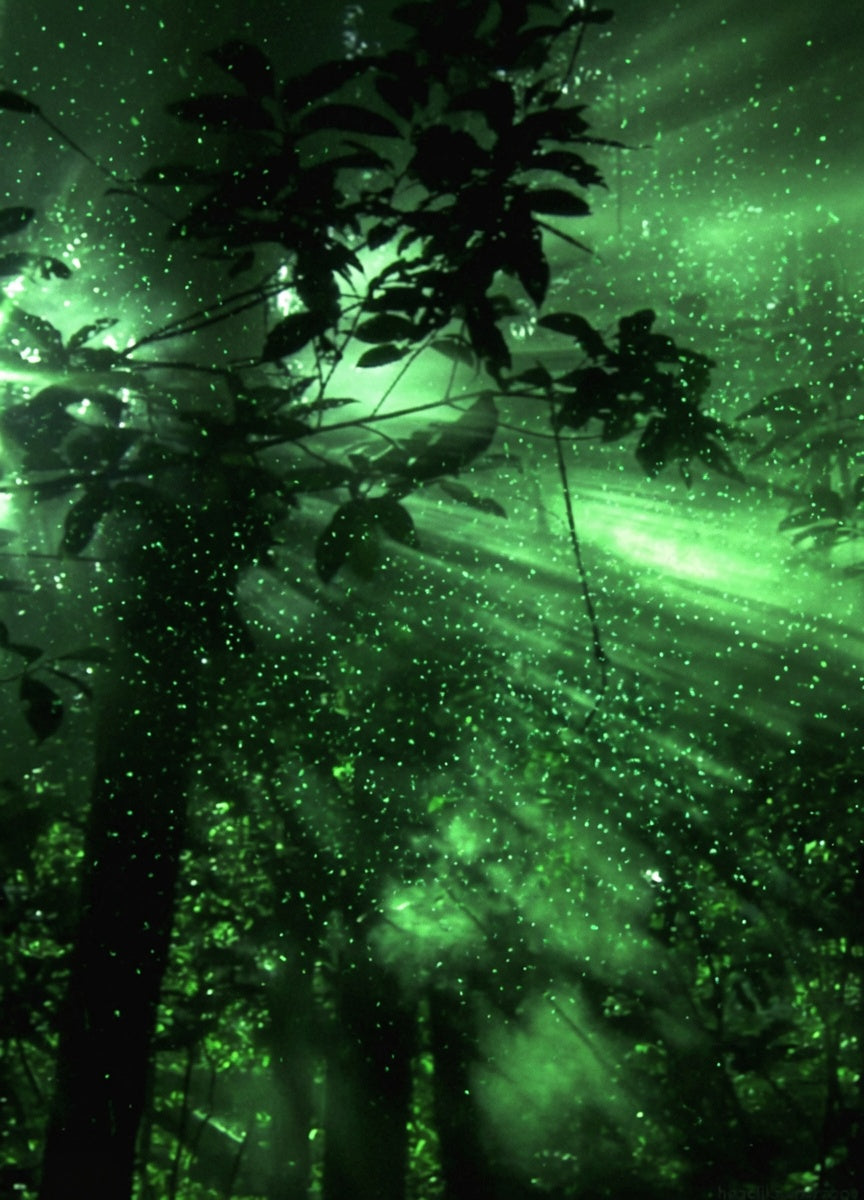 GREEN & YELLOW LIGHT